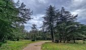 Tour Wandern Lacoste - Massif des Cèdres via Lacoste - Photo 17