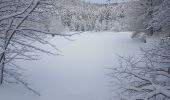 Tour Wandern Lepuix - Rando raquettes Ballon d'Alsace depuis Saut de la Truite  - Photo 18