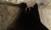Tour Wandern Orgeans-Blanchefontaine - Orgeans Rocher du Boubet et Grottes de Waroly (IBP 89 ) 26 avril 2021 CAF - Photo 11