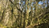 Tour Wandern Lauroux - Cirque de Labeil - Lauroux-Labeil - Photo 9