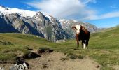 Trail Walking La Grave - Plateau d'Emparis - Photo 11