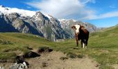 Randonnée Marche La Grave - Plateau d'Emparis - Photo 11