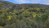 Randonnée Marche Roquebrune-sur-Argens - Massif flute - Photo 2