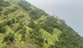 Tocht  Vernazza - Cinq ter jour deux corniglia>>  riomaggiore - Photo 7