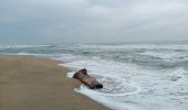 Trail Walking Canet-en-Roussillon - st cyprien, entre mer et étang  - Photo 19