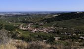 Tour Wandern Solutré-Pouilly - Solutré - Photo 4