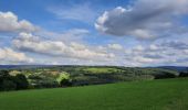 Tour Wandern Durbuy - GR 57 ETAPE 4: DURBUY-MOULIN DE MELINES  - Photo 1