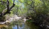 Tour Wandern Tourves - Caramy version courte - Photo 10