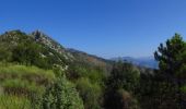 Percorso Corsa a piedi Mentone - Mont Carpano - Photo 2