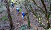 Trail Walking Le Plan-de-la-Tour - Autour du rocher de San Peyre - Photo 13