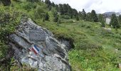 Percorso A piedi Aussois - Le Lac du Génépy - Photo 6