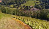 Trail Walking Cerdon - Cerdon Cascade de la Fouge - Photo 5