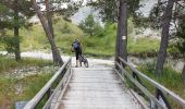 Percorso Mountainbike Thorame-Basse - Col de Seoune Lambruisse - Photo 3