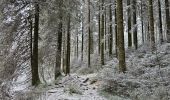 Trail Walking Waimes - Sur les traces de l'ultratrail 🥾 - Photo 10