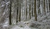 Randonnée Marche Waimes - Sur les traces de l'ultratrail 🥾 - Photo 10