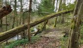 Trail Walking Bouxières-aux-Bois - Bouxieres-aux-bois : Le circuit de Virine - Photo 4