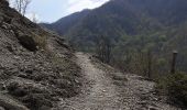 Trail On foot Bagno di Romagna - IT-185 - Photo 1