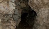 Excursión Senderismo Léoncel - Pierre Chauve - Col de Tourniol - Photo 20