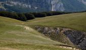 Excursión Senderismo Marignac-en-Diois - Marignac - But de l'Aiglette - Col de Vassieux - Photo 6