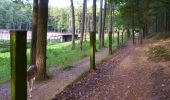Trail On foot Heidenberg - Rundwanderweg 1 Büchenbach - Photo 3