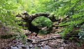 Tocht Stappen Spa - gare geronster . source sauveniere . berinzenne . source geronster . source barisart . chapelle de la roche . gare geronster - Photo 15