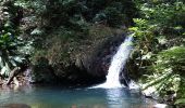 Tour Wandern Sainte-Rose - Cascade Naca - Photo 2