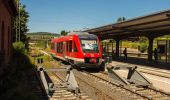 Tour Zu Fuß Einbeck - Dicke Buchen Weg - Photo 2