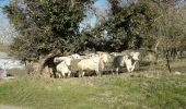 Tour Wandern Beaumont - BEAUMONT: Belvédère vers Leval Chaudeville. COURT - Photo 3