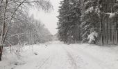 Tour Wandern Büllingen - Murringen - Weissen Stein - Murringen  - Photo 8