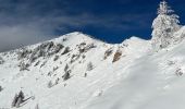 Tour Schneeschuhwandern Belvédère - Baisse de Ferisson 2 - Photo 1