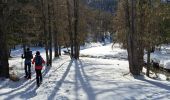 Tour Schneeschuhwandern Méolans-Revel - EMBRUN JOUR 5 : Valon du Lavercq - Photo 1