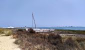 Trail On foot Quelfes - 6.1:Centro de Interpretación del Parque Natural da Ria Formosa.-... - Photo 1