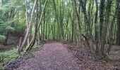 Tocht Stappen Seraing - les bois de l abbaye - Photo 10