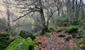 Tocht Te voet Valdastillas - [SL-CC 32] Cascada del Caozo - Photo 6