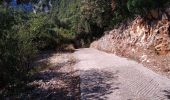 Randonnée Marche Saint-Remèze - 2020-09-14 : circuit des gorges de l’Ardèche  et dolmen de chanet - Photo 10