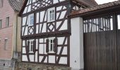 Tour Zu Fuß Kelkheim - Rund um den Rettershof: Weg 4 - Photo 3