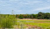 Tour Wandern Zonhoven - de-wijers-de-teut-instapplaats-donderslagseweg-blauw - Photo 4