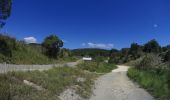 Tocht Mountainbike Vallon-Pont-d'Arc - vallon pont arc au col de la cize - Photo 4