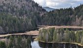 Excursión Senderismo La Bresse - 2023-04-14 Marche Lac de Lispach vers Abri Collet de Etang - Photo 3