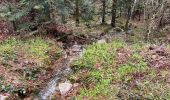 Trail Walking Cornimont - Col du Brabant - croix Louis par Mansuy et Boulaite - Photo 6