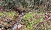 Tour Wandern Cornimont - Col du Brabant - croix Louis par Mansuy et Boulaite - Photo 6