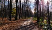 Tour Wandern Kelmis - La promenade des trois bornes   - Photo 2