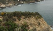 Trail Walking Port-Vendres - Port cendres de la mer à la montagne - Photo 1