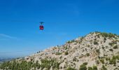 Tocht Stappen Toulon - faron Daniel Louis   sud et sommet - Photo 3