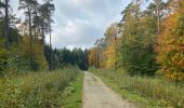 Trail Walking Bierbeek - Bierbeek 23 km 2020 - Photo 16
