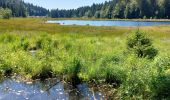 Randonnée Marche La Bresse - Lac de Lispach, la Roche des Bioquets, La Tête de Grouvelin - Photo 8