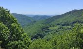 Trail Walking Labastide-sur-Bésorgues - la Bastide sur bezorgie - Photo 13