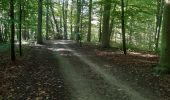 Trail Road bike Leuven - vlaanderenroute  - Photo 13
