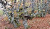 Randonnée Marche nordique Prades-d'Aubrac - SityTrail - Sentier thématique de Brameloup - Photo 1