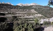 Excursión Senderismo Lafare - le tour des dentelles 84 - Photo 4